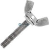 Винт-барашек ДИН 316 А2 AM.F M 8X25 | «ТАТМЕТИЗ» Винт-барашек ДИН 316 А2 AM.F M 8X25 - магазин крепежа «ТАТМЕТИЗ»